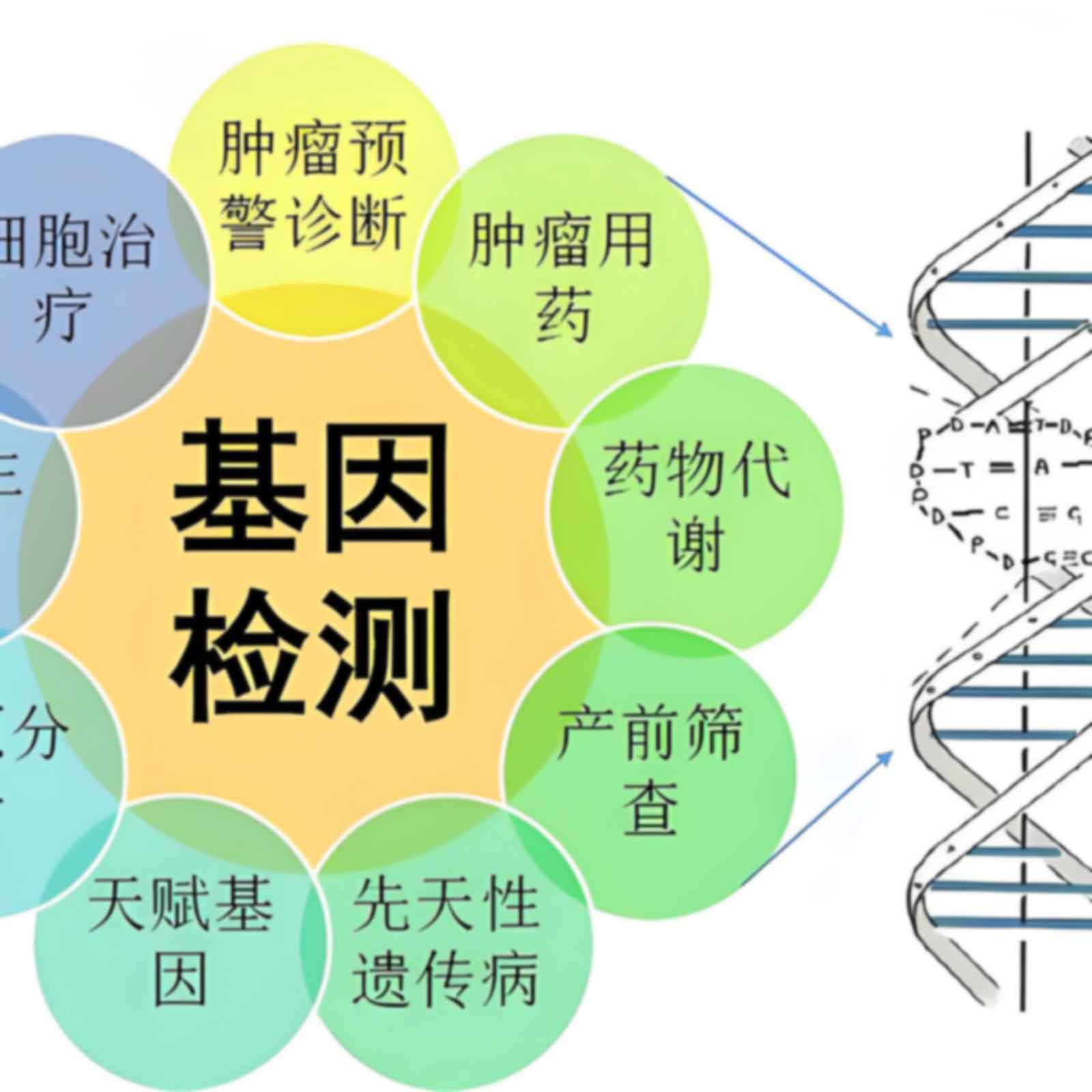 西安未央区个人亲子鉴定办理流程一览